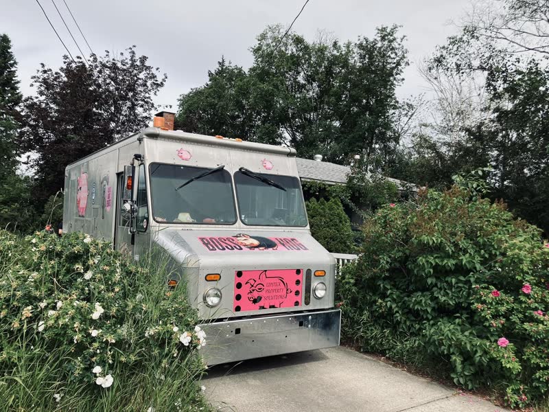 The Boss Hog truck tucked beside a June rose hedge