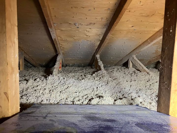 Fresh cellulose filling the attic between the trusses