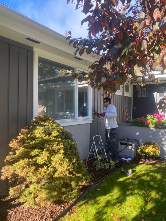 Installer at a window on a grey board-and-batten bungalow in the fall